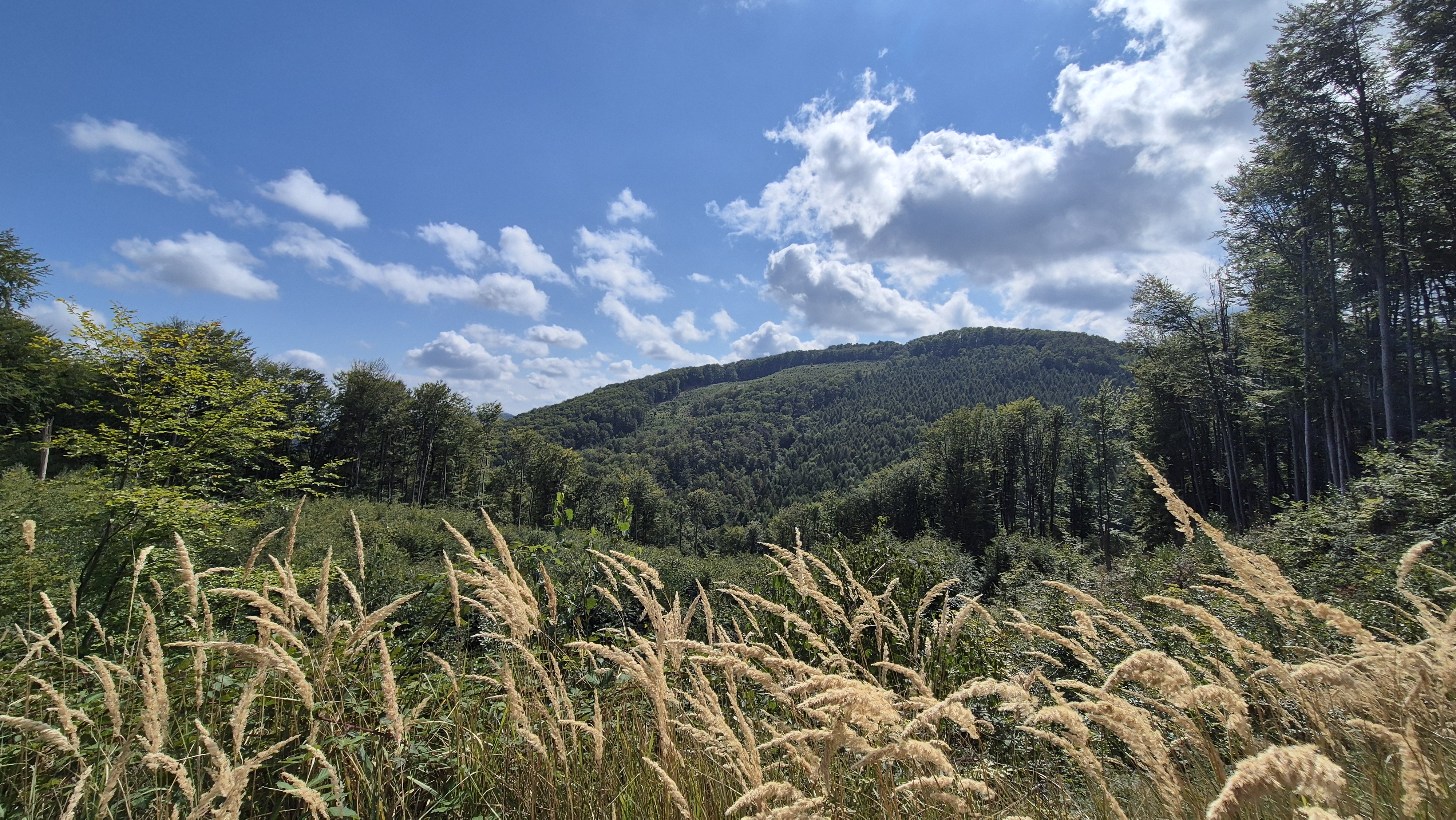 Pálháza – 9. fotó