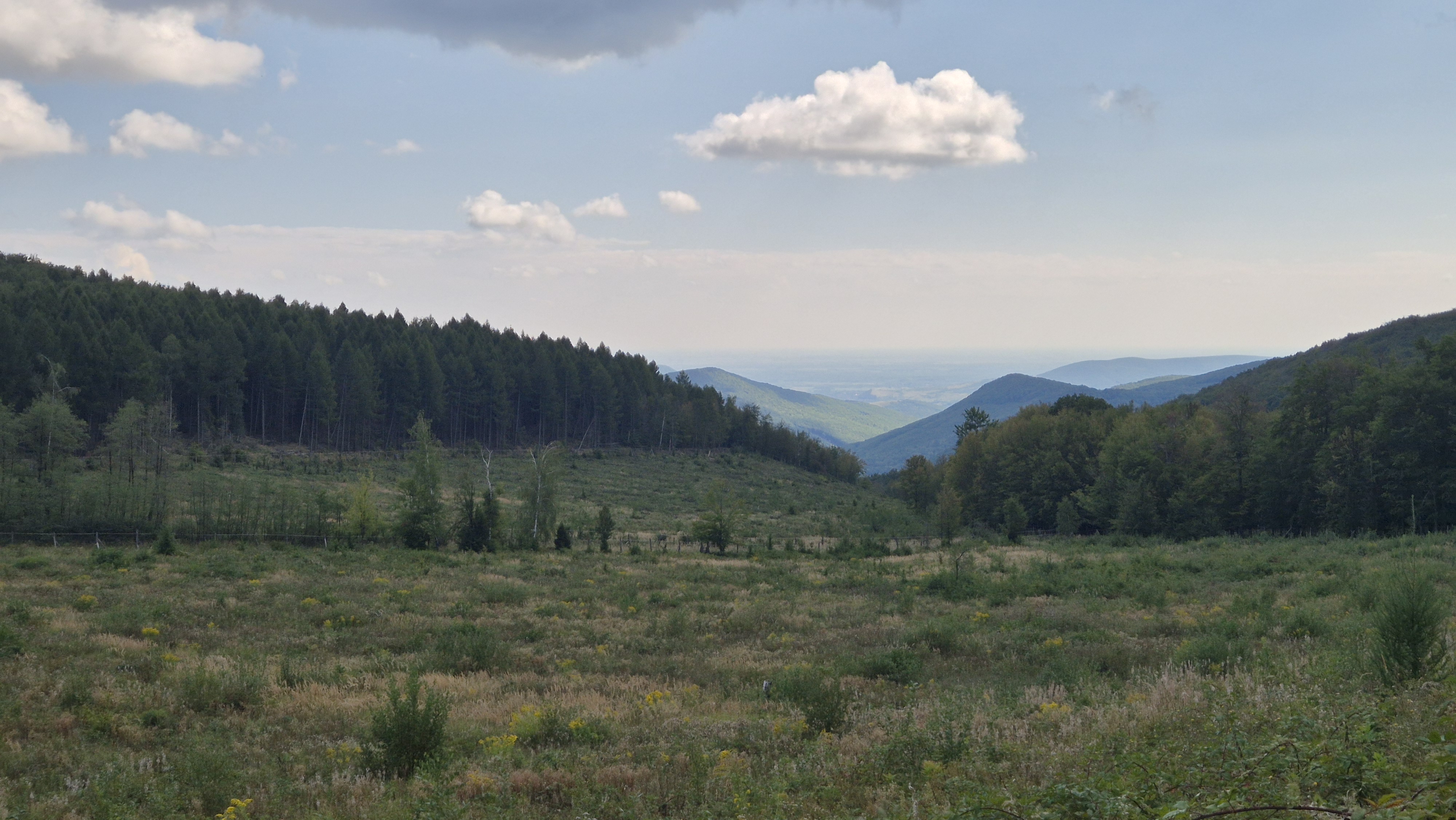Pálháza – 11. fotó