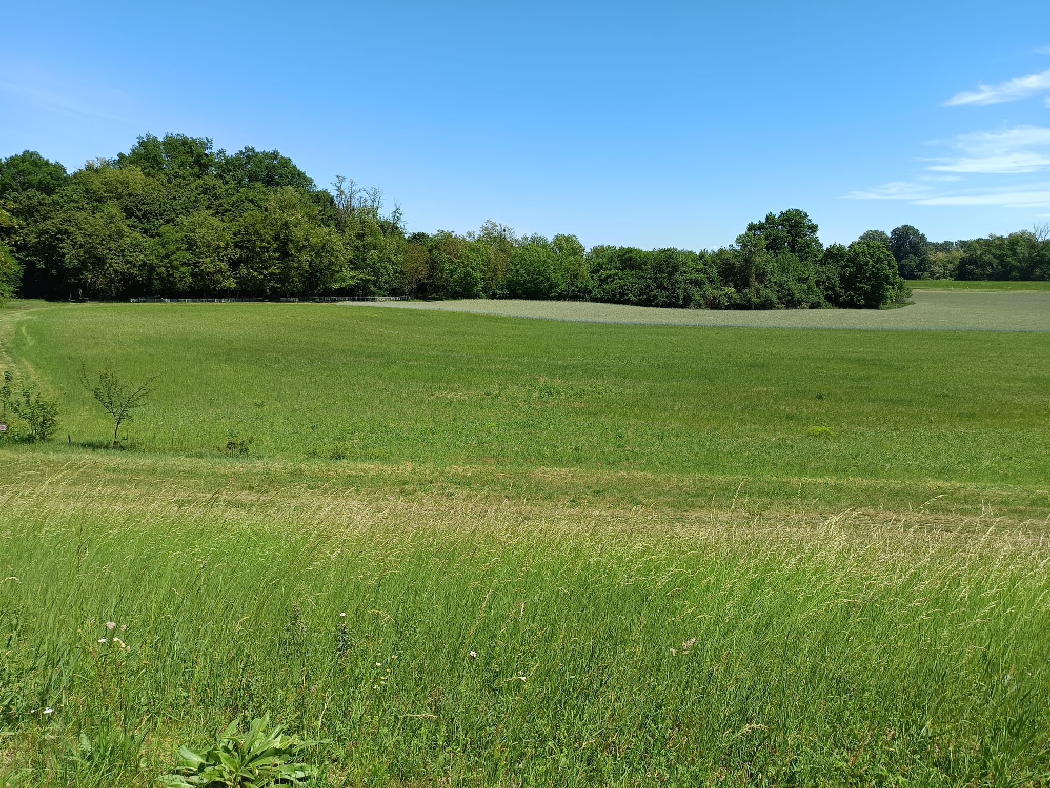 Beregi kör – 3. fotó