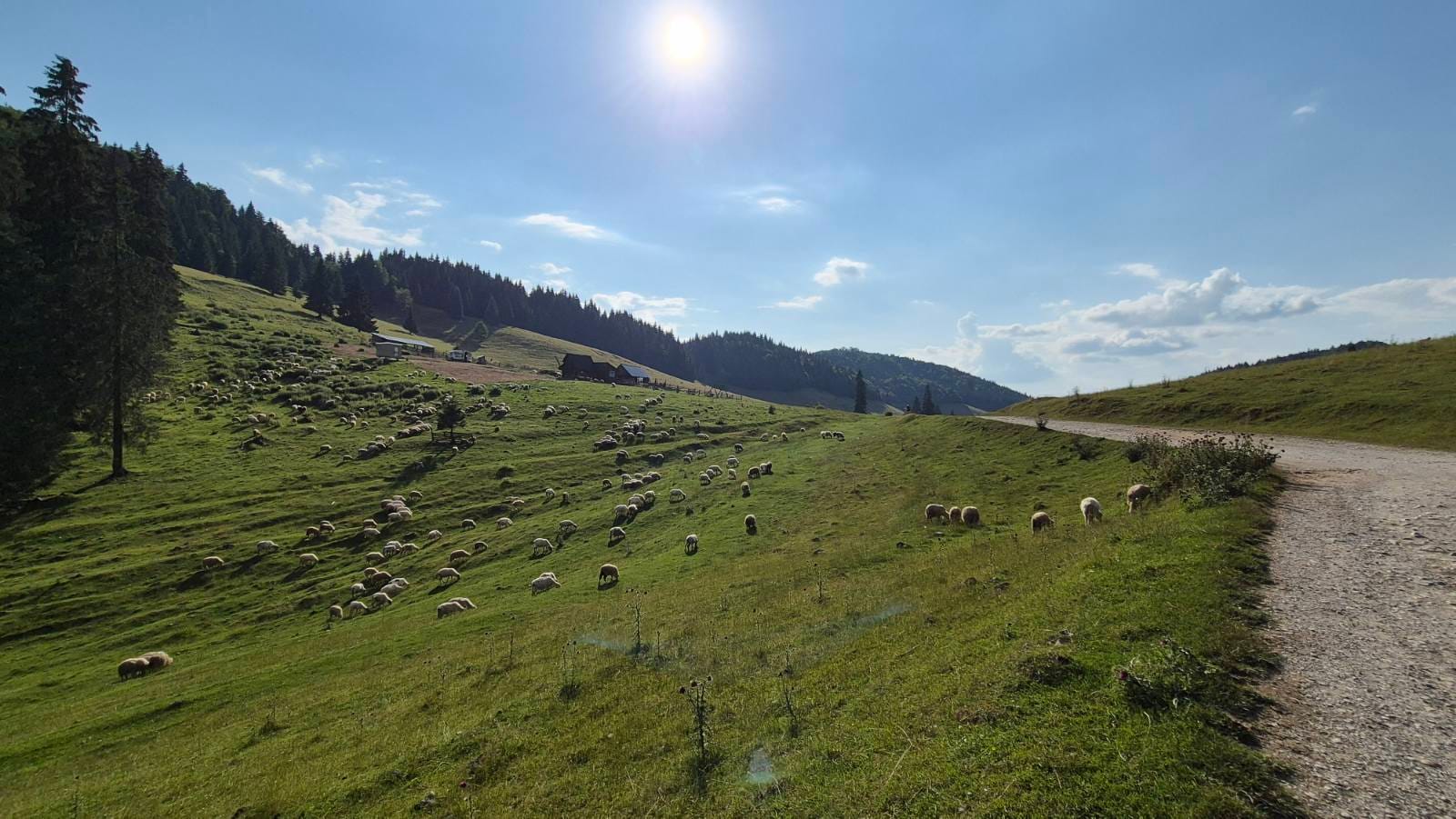 Padis – 7. fotó