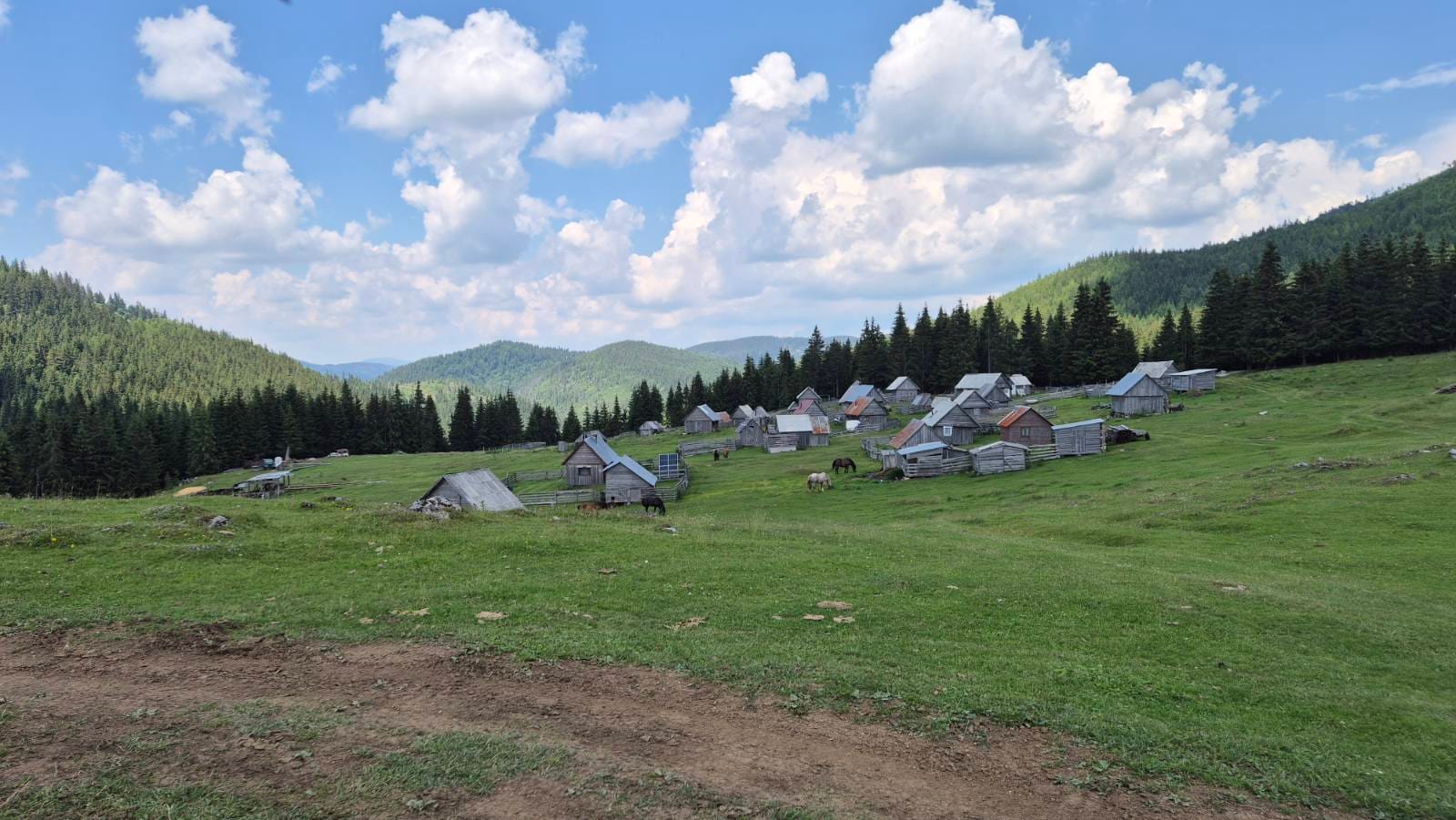 Padis – 26. fotó