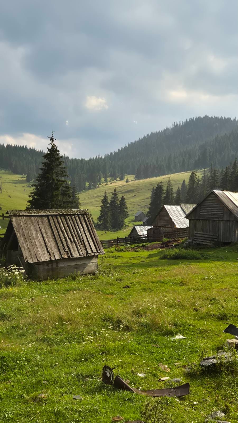 Padis – 34. fotó