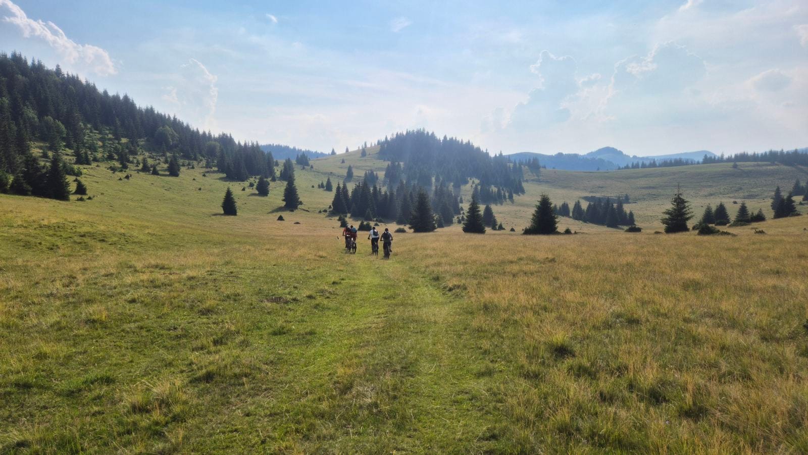 Padis – 35. fotó