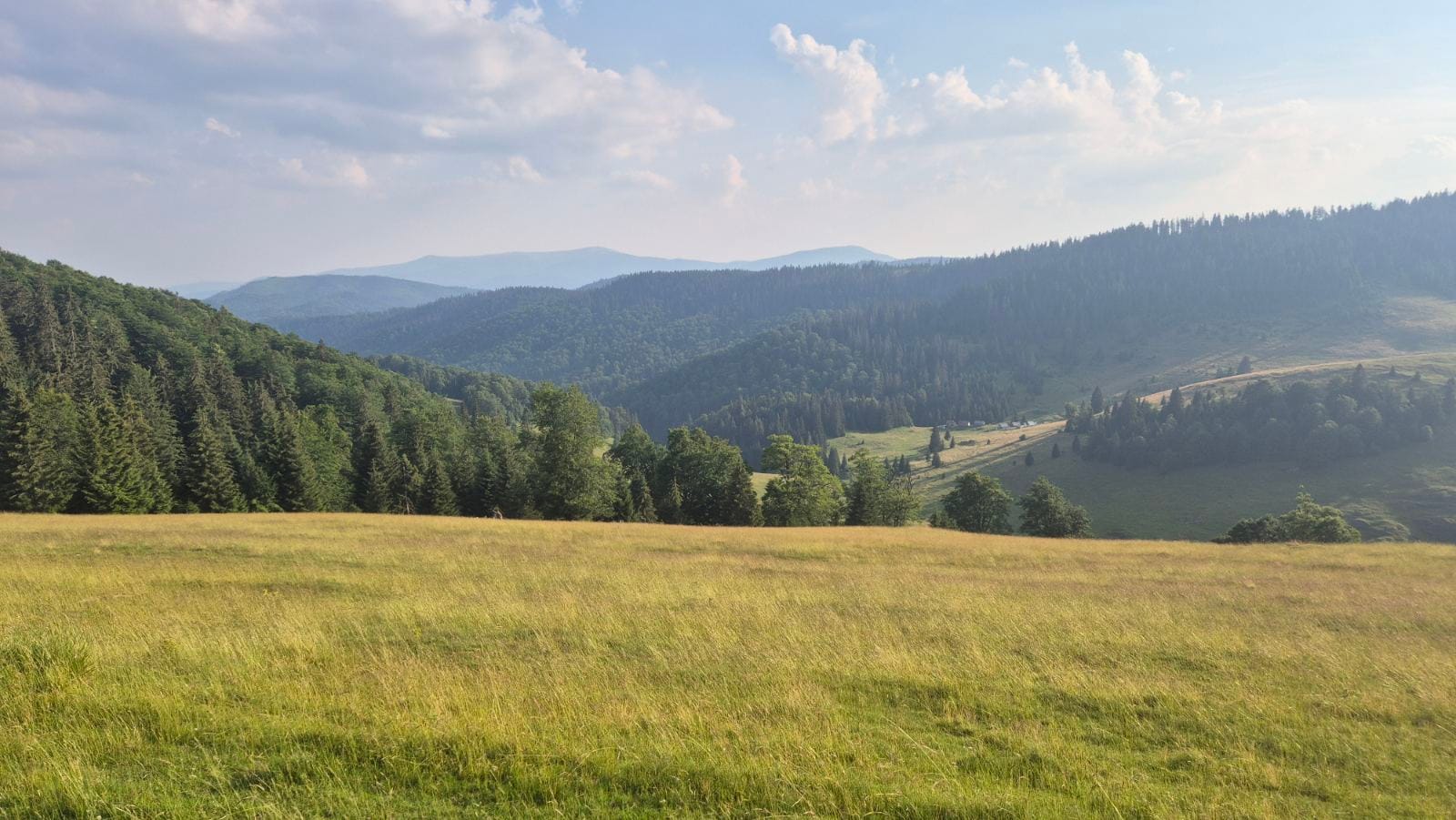 Padis – 36. fotó